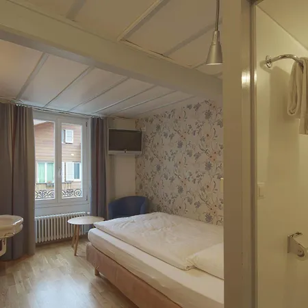 Boutique Alplodge Auberge de jeunesse Interlaken